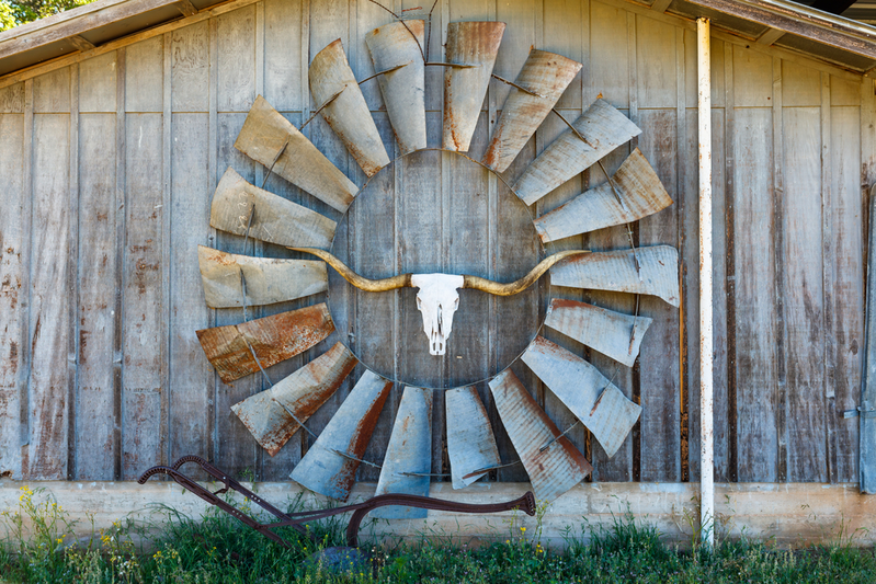 texas hill country art