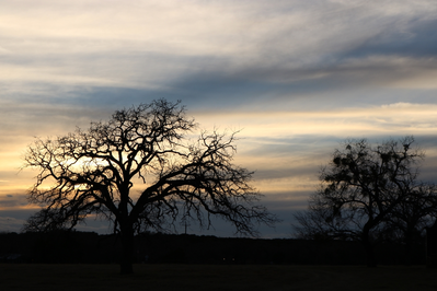 texas in winter 2