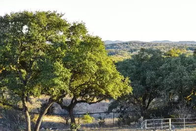 boerne texas